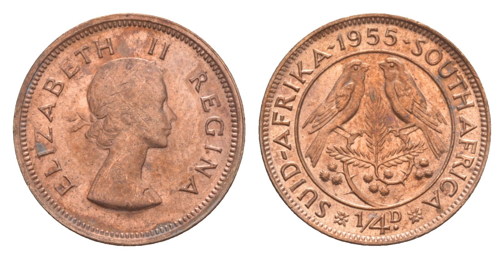 ЮАР 1/4 пенни (фартинг) 1955 Елизавета II (1952-2022) KM 44 бронза UNC 4596-232