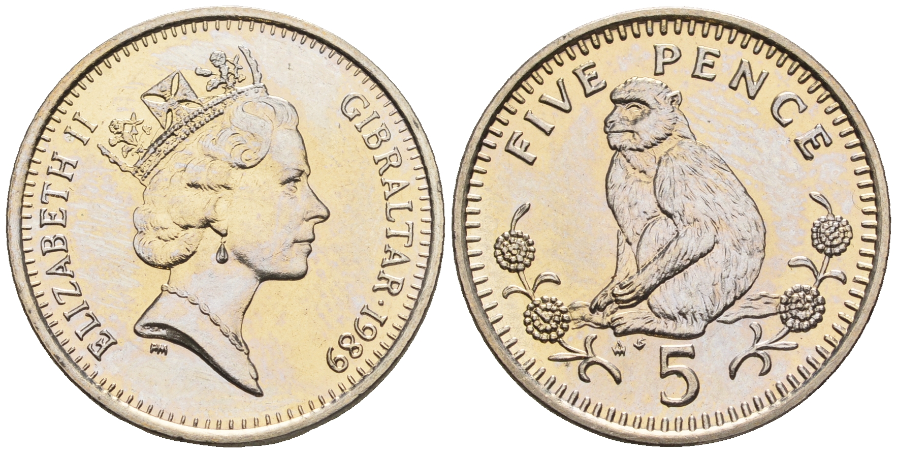 Гибралтар 5 пенсов 1989 АВ обезьяна KM 22 медно-никель UNC 87-547