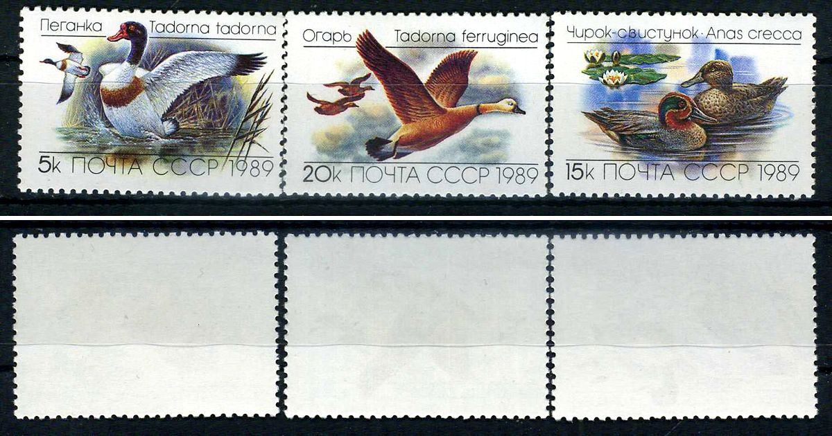 СССР набор из 3 марок (5, 15 и 20 копеек) 1989 утки - пеганка, чирок-свистунок, огарь Загорский 6017, 6018, 6019    марка с оригинальным клеем, без следов наклейки (чистая) 8707-5-1-3