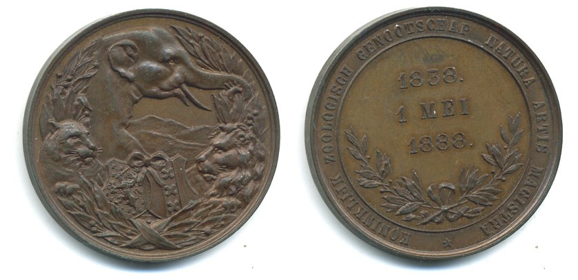 ГОЛЛАНДИЯ МЕДАЛЬ 1888 ЖИВОТНЫЙ МИР АФРИКИ (СЛОН, ЛЕВ, ЯГУАР) бронза SH2-02