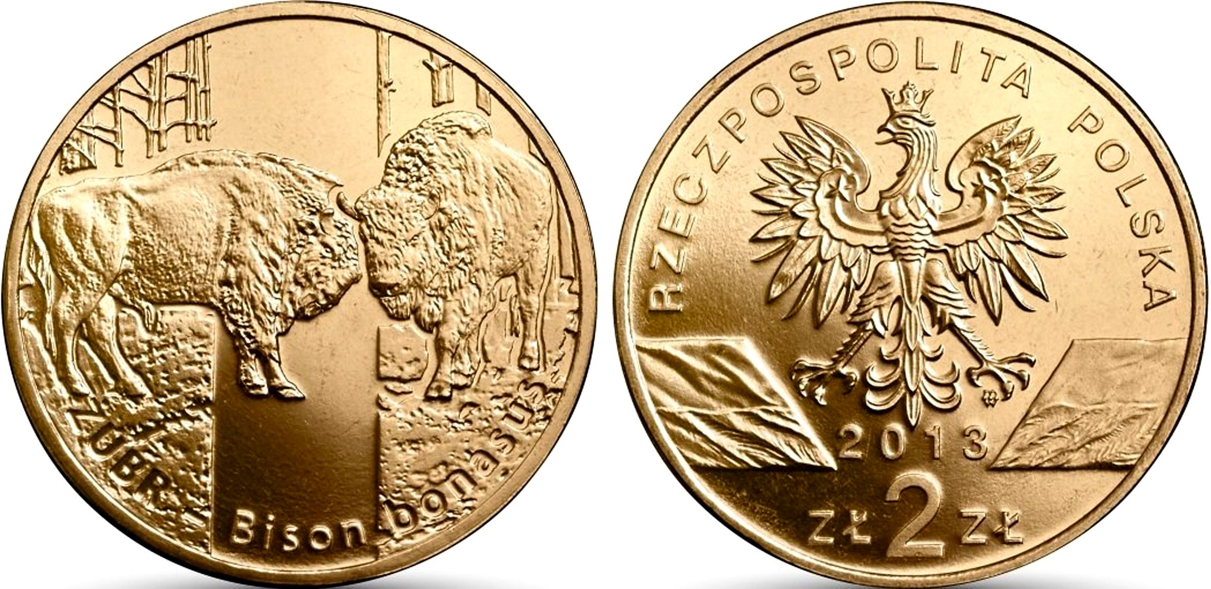 Польша 2 злотых 2013 MW, серия сохраним природу, зубр KM 878 нордик UNC 4676-1034