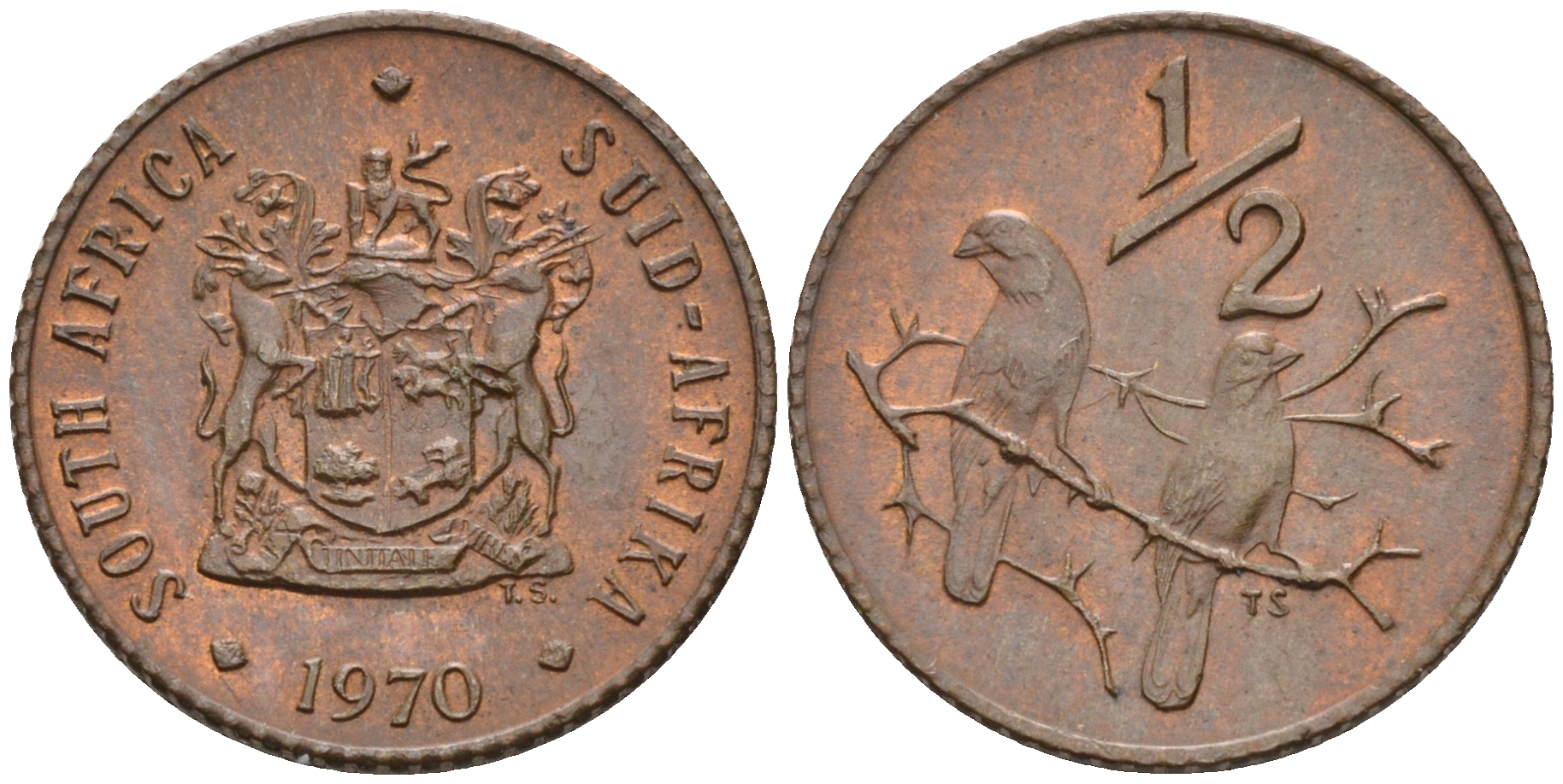 ЮАР 1/2 цента 1970 два капских воробья на ветке KM 81 бронза UNC 4588-1245