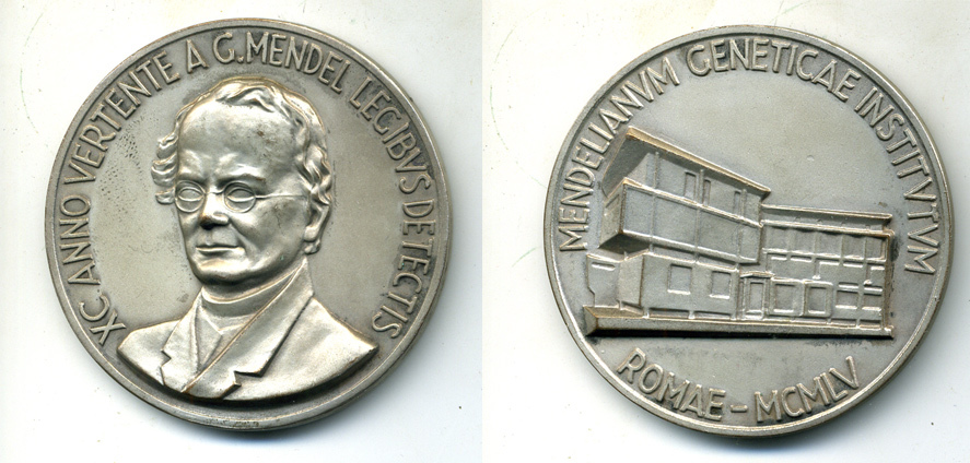 ИТАЛИЯ МЕДАЛЬ 1955 ГРЕГОР МЕНДЕЛЬ, ИНСТИТУТ ГЕНЕТИКИ, 60 мм, 101,4 гр бронза 00-00