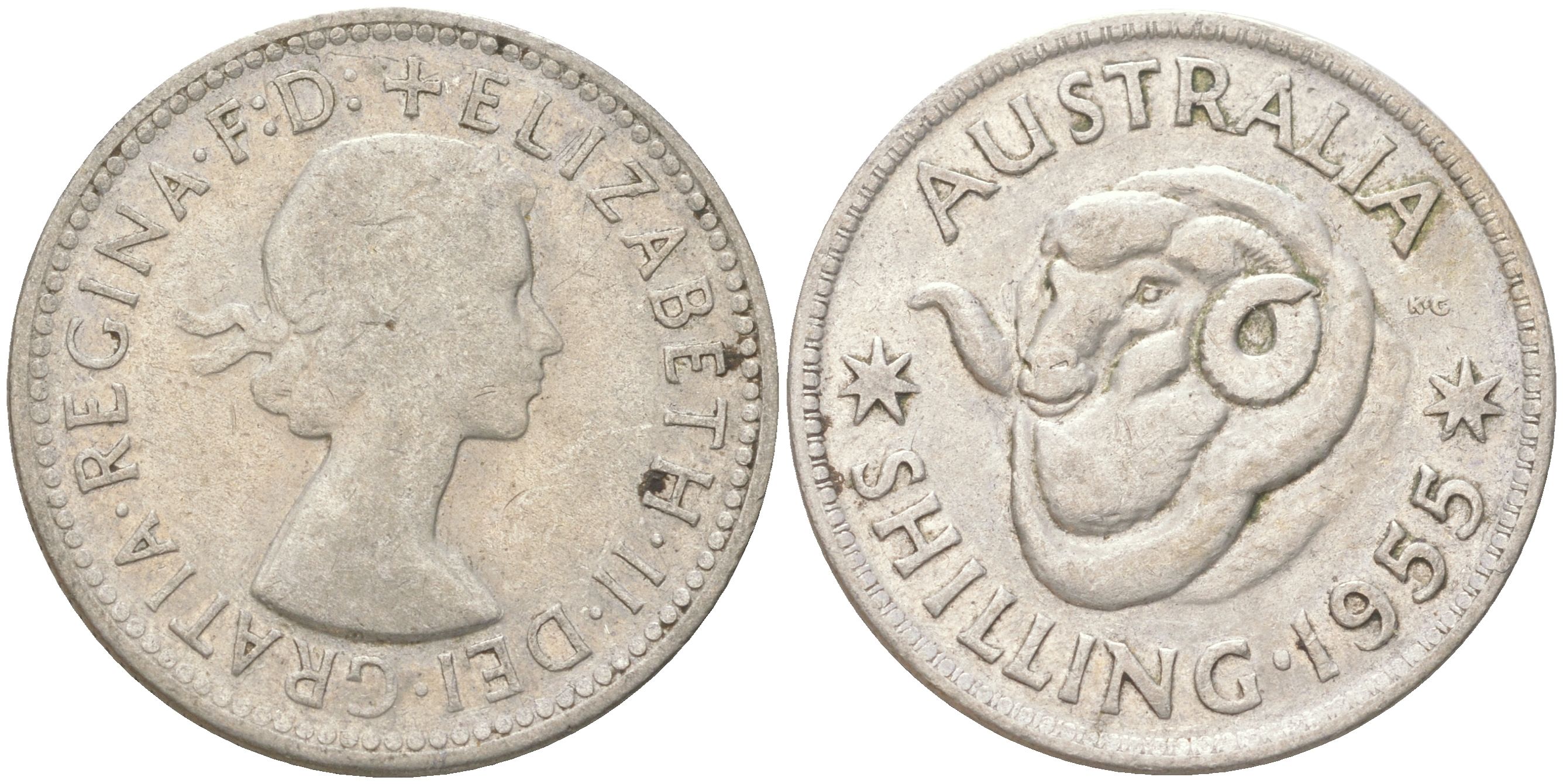 Австралия 1 шиллинг 1955 M, Елизавета II (1952-2022), овца меринос KM 59 серебро 4622-147