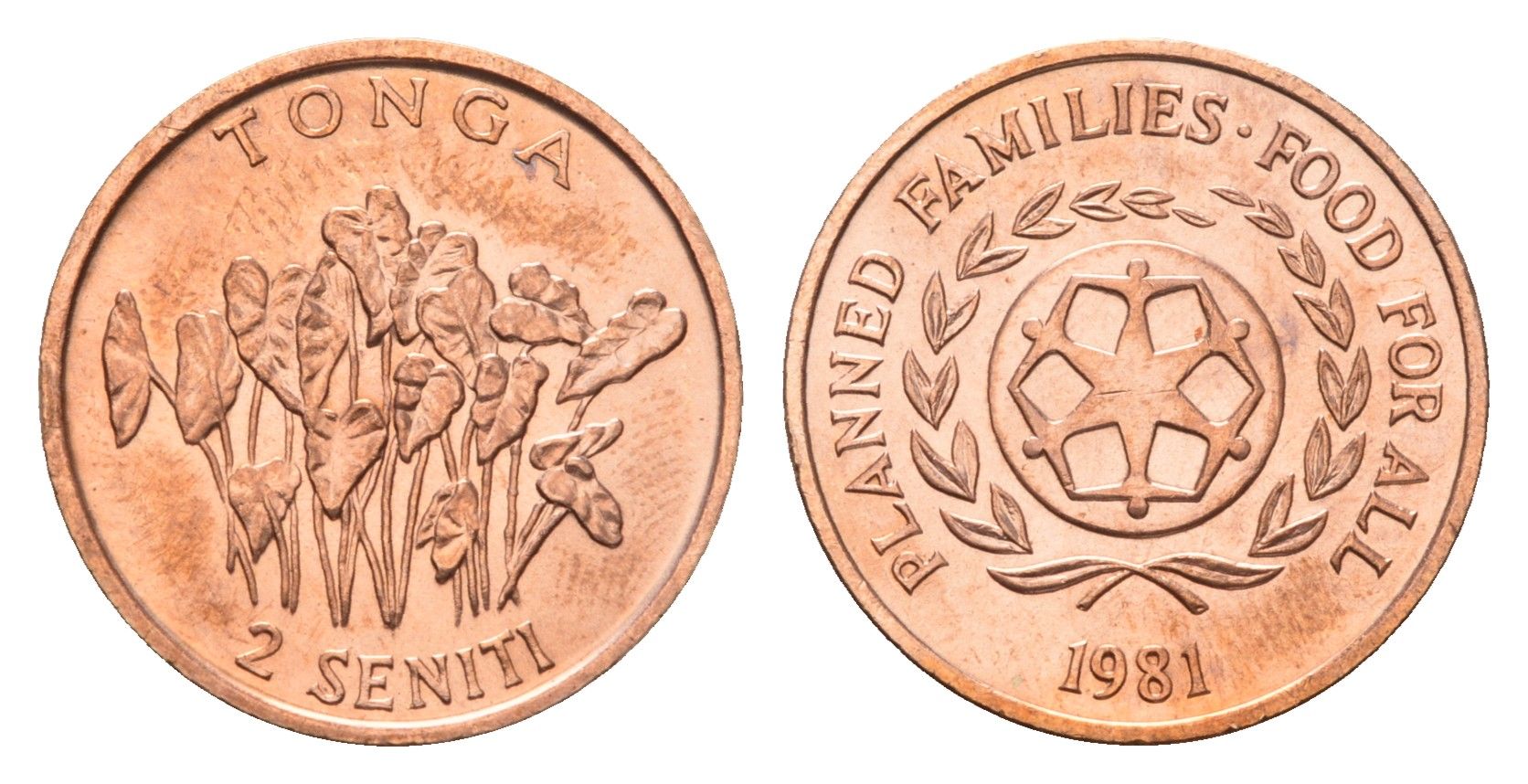 Тонга 2 сенити 1981 ФАО - Планирование семьи KM 67 бронза UNC 86-448