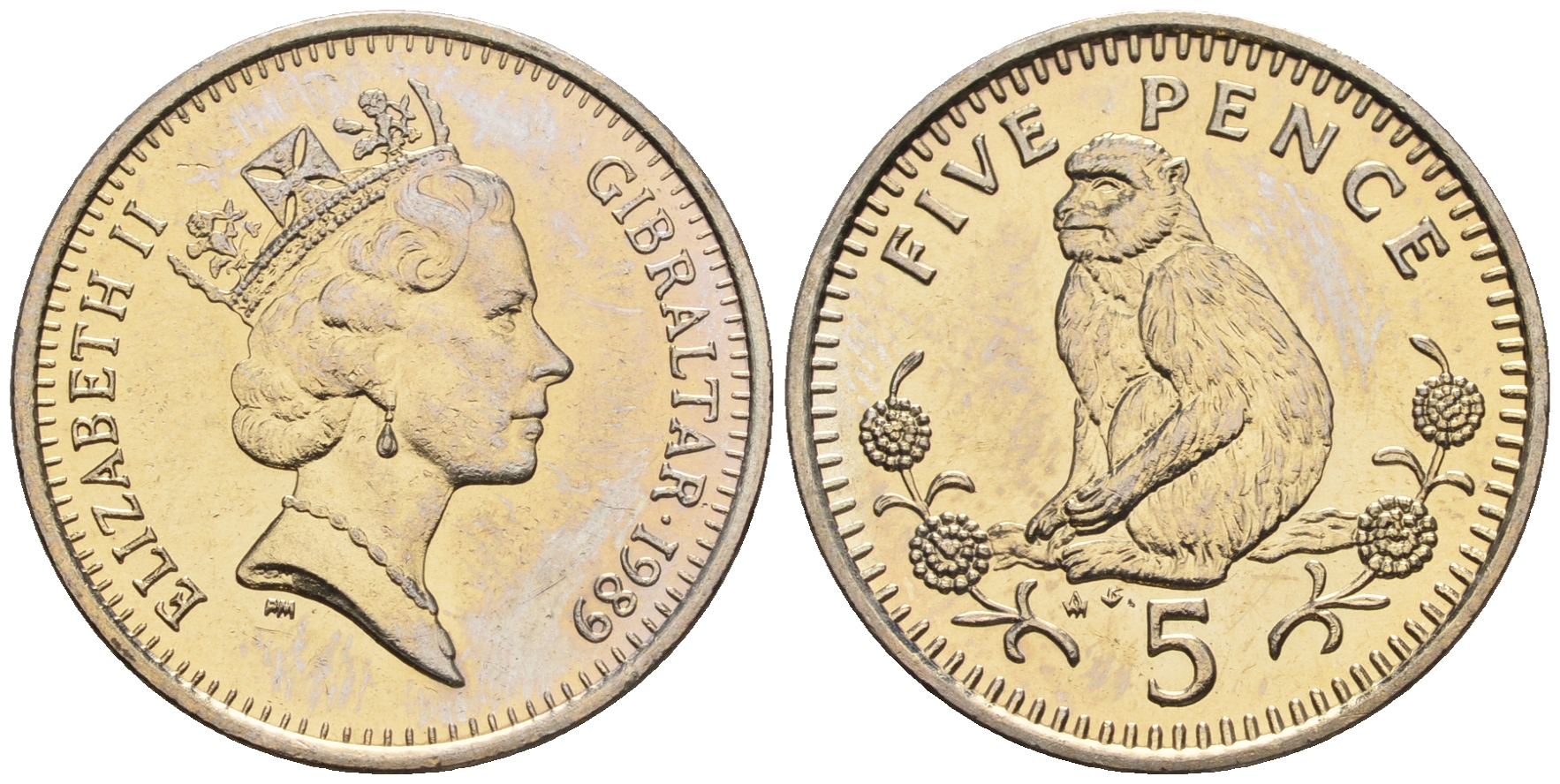 Гибралтар 5 пенсов 1989 АВ обезьяна KM 22 медно-никель UNC 87-541