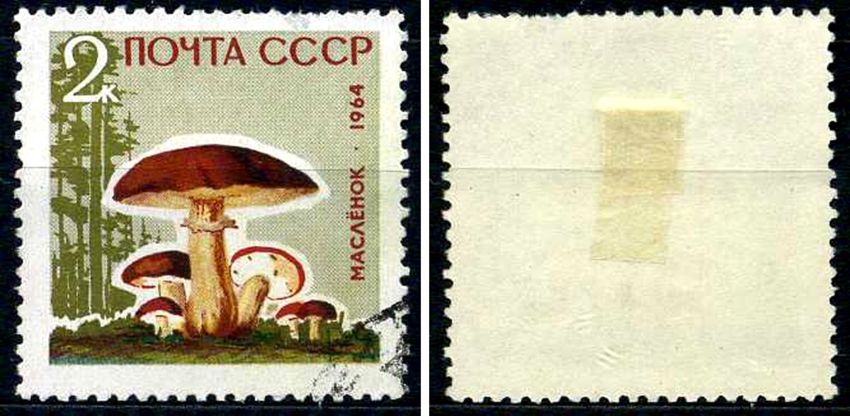 СССР марка 2 копейки 1964 грибы - масленок Загорский 3036 почтовое гашение 8699-9-2-1