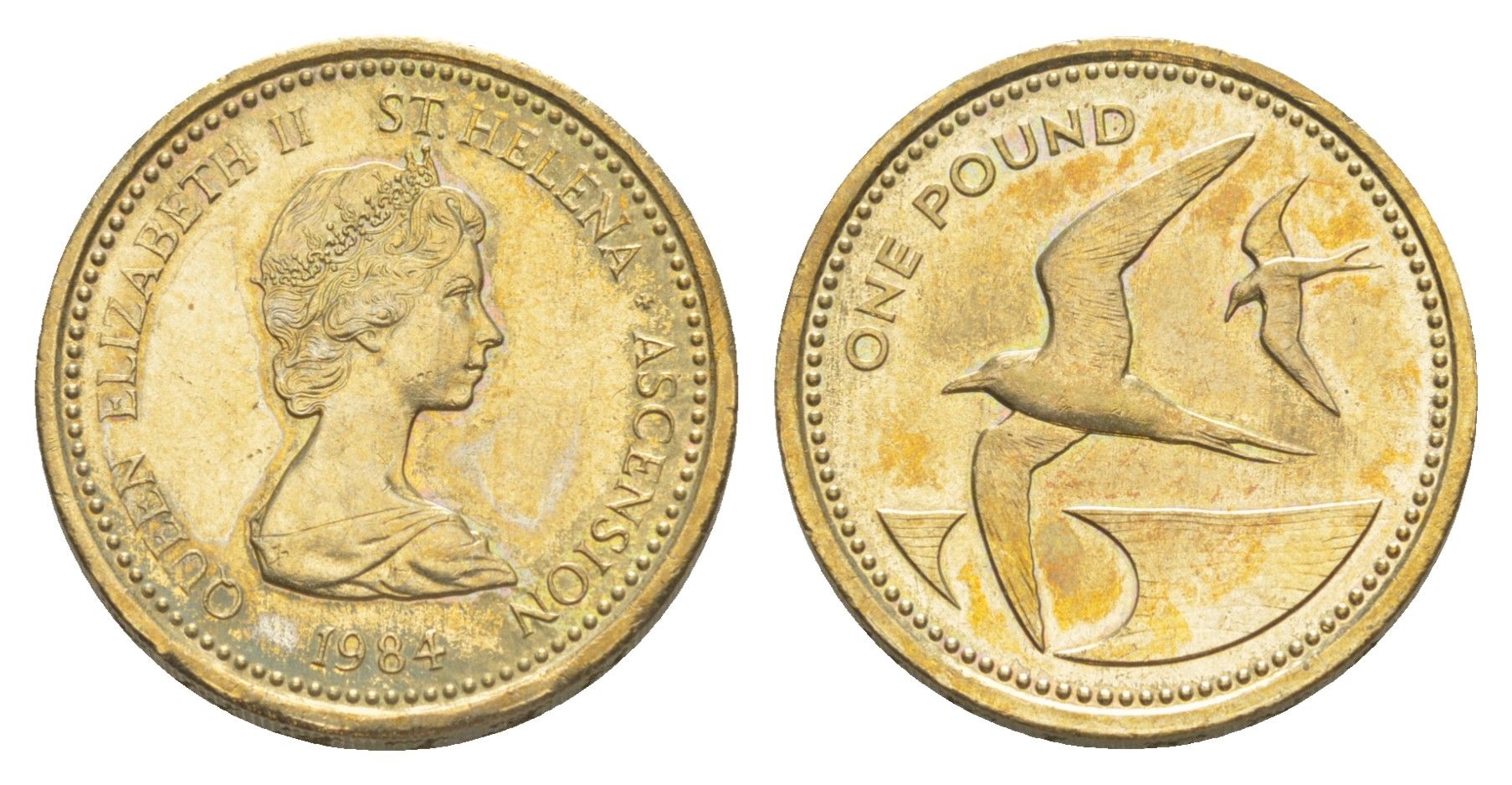 Острова Святой Елены и Вознесения 1 фунт 1984 KM 6 никель латунь UNC 1522-122