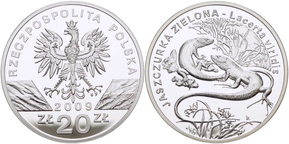 Польша 20 злотых 2009 серия сохраним наш мир, зеленая ящерица KM 679 серебро PROOF 1077-10-32