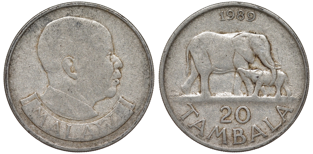 Малави 20 тамбала 1996 слоны KM 29 никелированная сталь 4162-533