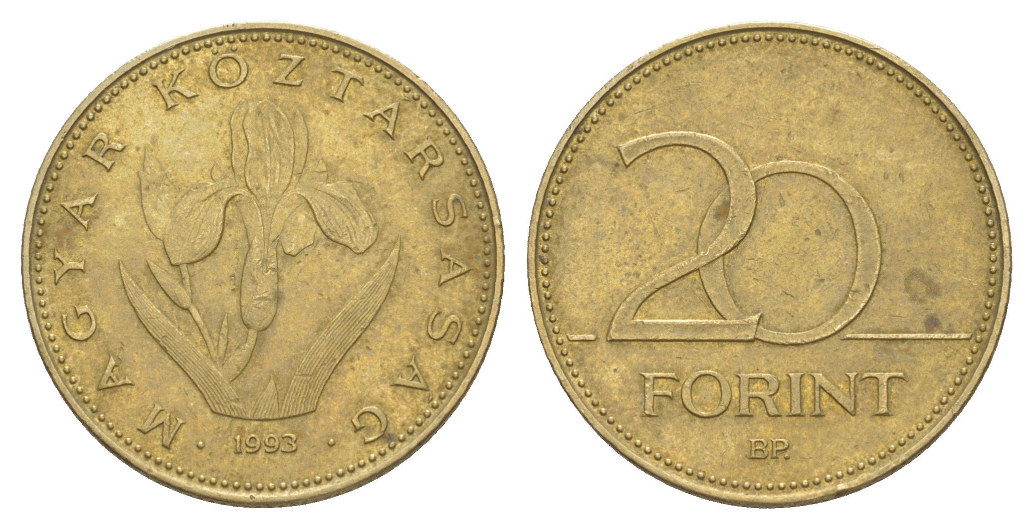 Венгрия 20 форинтов 1993 венгерский ирис KM 696 никель латунь 4650-334