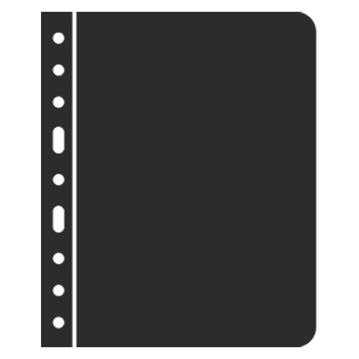 Лист-разделитель в альбом Vario. Leuchtturm. 336139