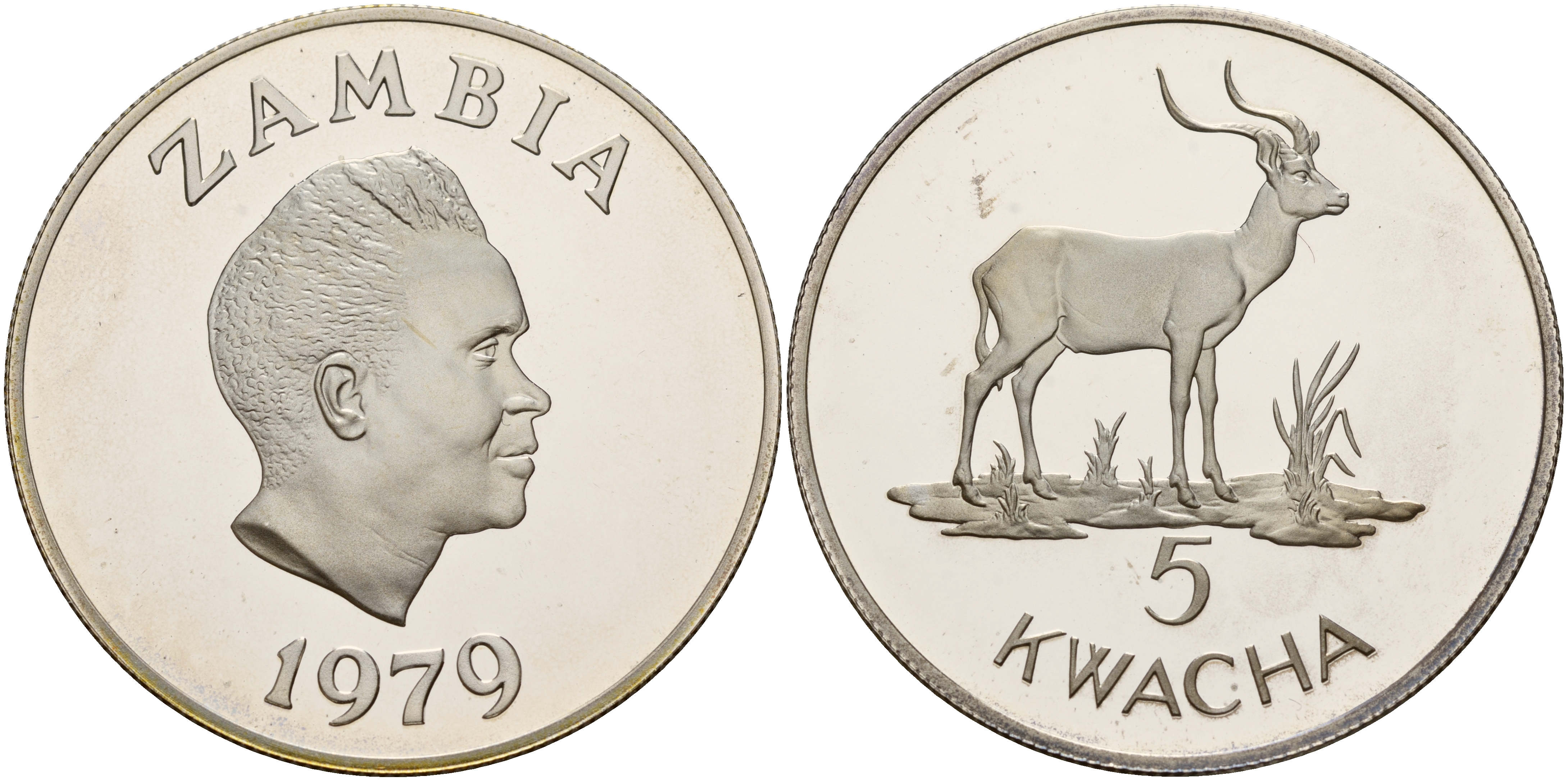 Замбия 5 квача 1979 WWF, серия защита окружающей среды, антилопа личи,  тираж 25000 экз., в коробке KM 18а серебро PROOF 4-3-5-29