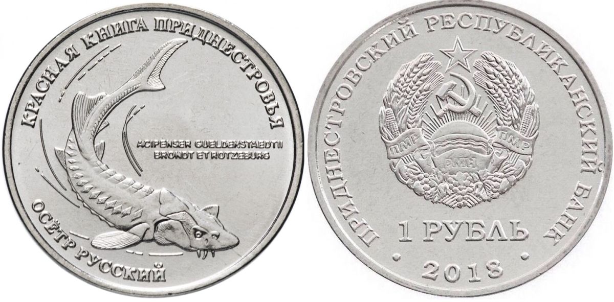 Приднестровье 1 рубль 2018 серия красная книга, осетр русский MD-TR-000286 никелированная сталь UNC M63-09