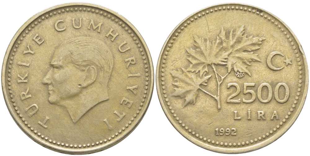 ТУРЦИЯ 2500 ЛИР 1992 КЕМАЛЬ АТАТЮРК KM 1015 никель бронза 115-523