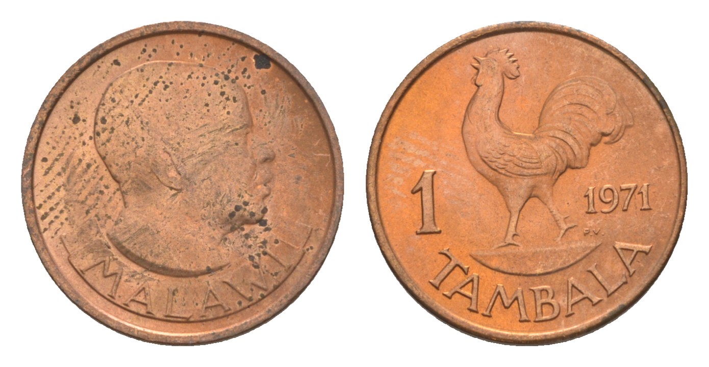 Малави 1 тамбала 1971 петух KM 7.1 бронза  aUNC  4640-855