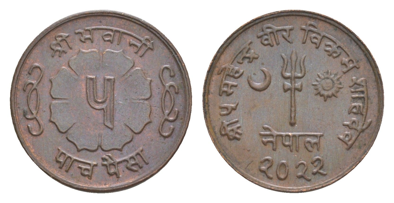 Непал 5 пайс 1965 BS 2022 KM 758a бронза UNC 4643-1065