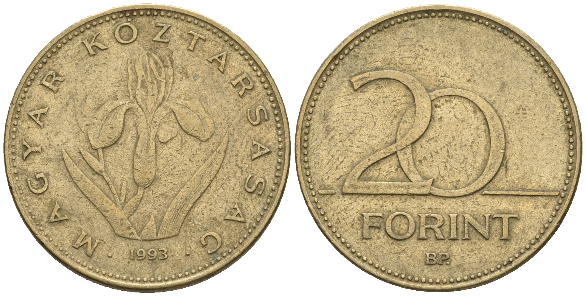 Венгрия 20 форинтов 1993 венгерский ирис KM 696 никель латунь 85-253