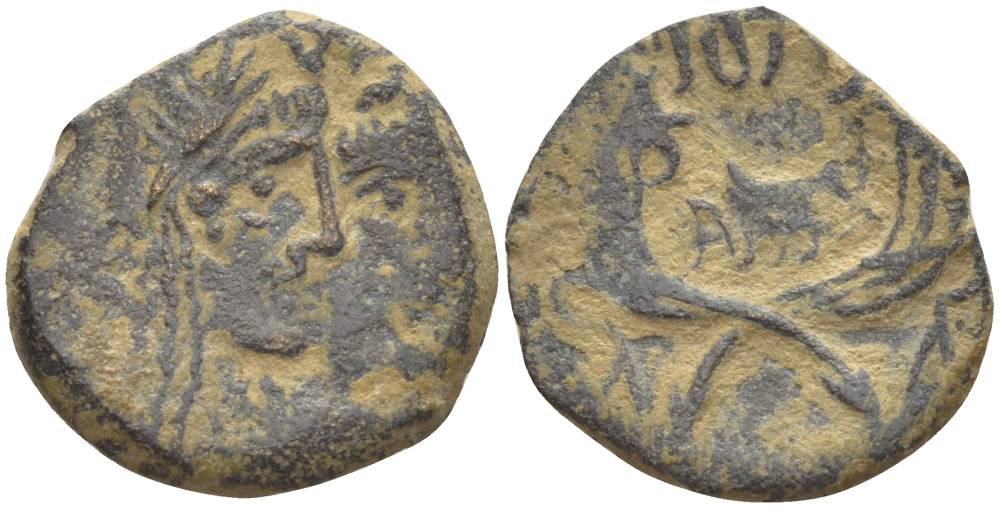 Набатея AE 20 - 40 гг. Арета IV, бюсты Ареты IV и царицы Шакилат / два рога изобилия, Петра Meshorer 114 медь 1073-21-102