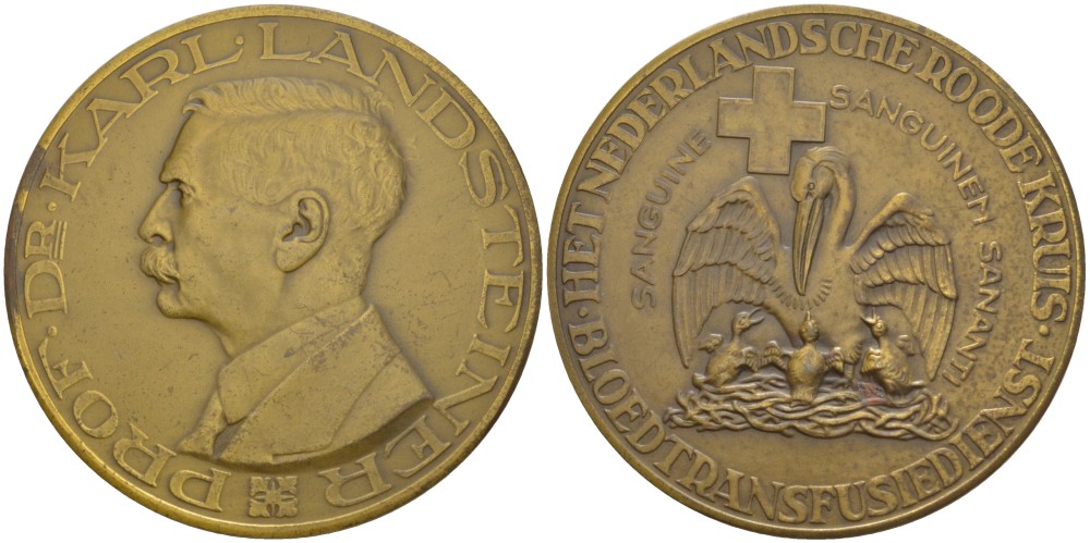Нидерланды медаль ND профессор, доктор Карл Ландштейнер (1868-1943), лауреат Нобелевской премии, за открытие групп крови, нидерландское общество Красного креста, пеликан, диаметр 50 мм.  бронза 1089-5-12