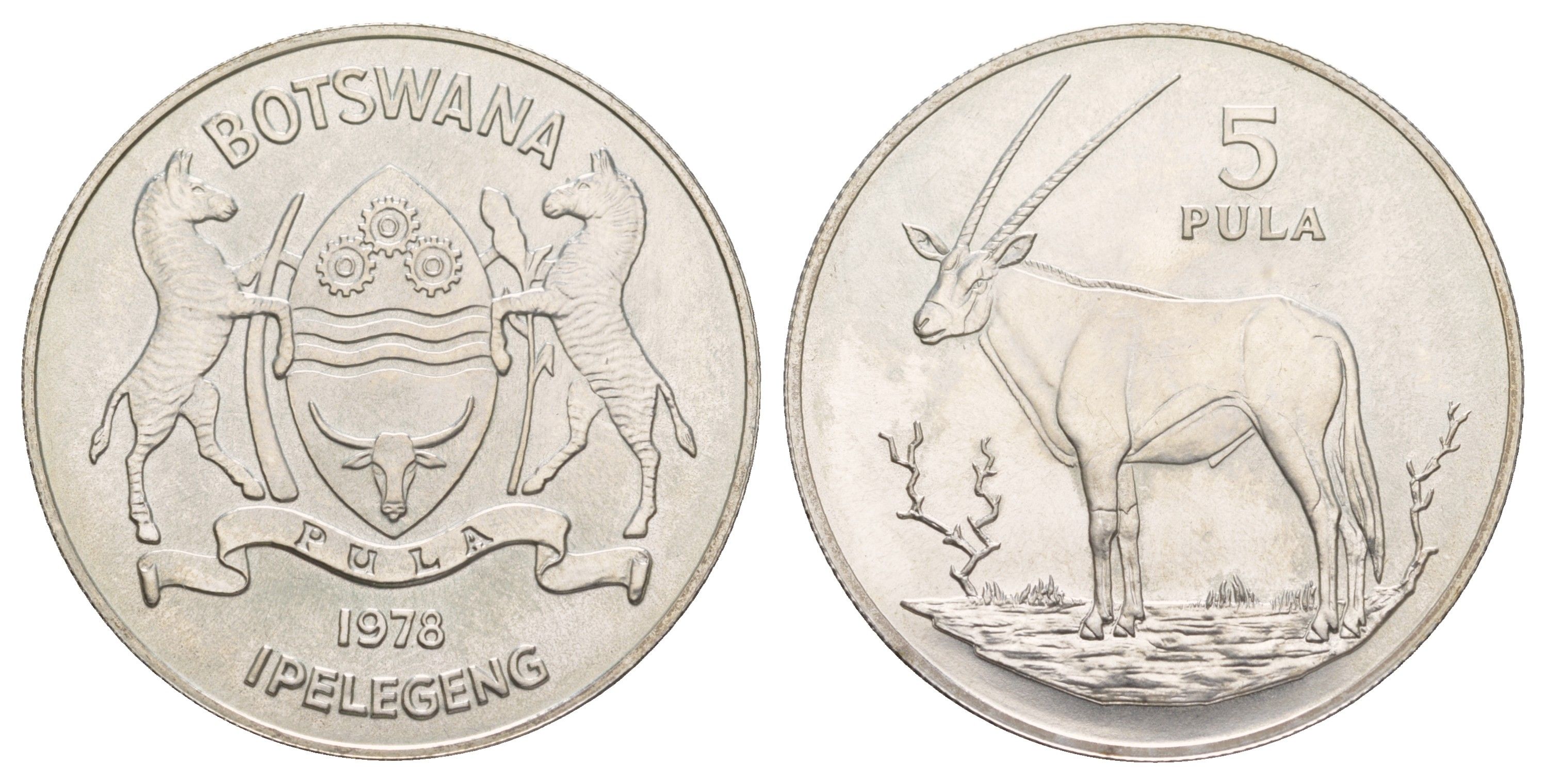 Ботсвана 5 пул 1978 Орикс KM 11 серебро BU 413-3423