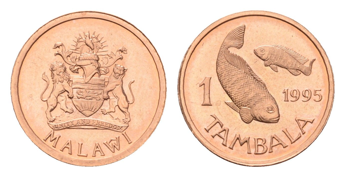 Малави 1 тамбала 1995 KM 33 бронза UNC 4588-946