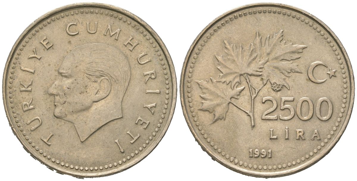 Турция 2500 лир 1991 KM 1015 никель бронза 4589-1231