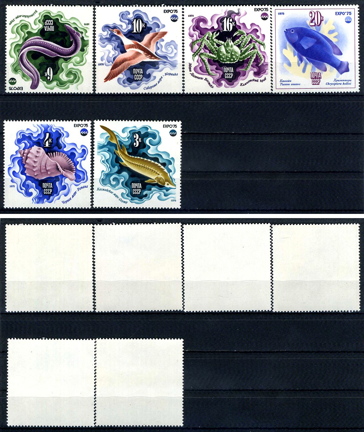 СССР набор из 6 марок (3, 4, 6, 10, 16 и 20 копеек) 1975 Всемирная выставка «Экспо-75» «Море и будущее» (Окинава, Япония) - Осетр, Моллюск рапана, угорь, утка морянка, камчатский краб, рыба хризиптера Загорский 4426, 4427, 4428, 4429, 4430, 4431 и 4432   