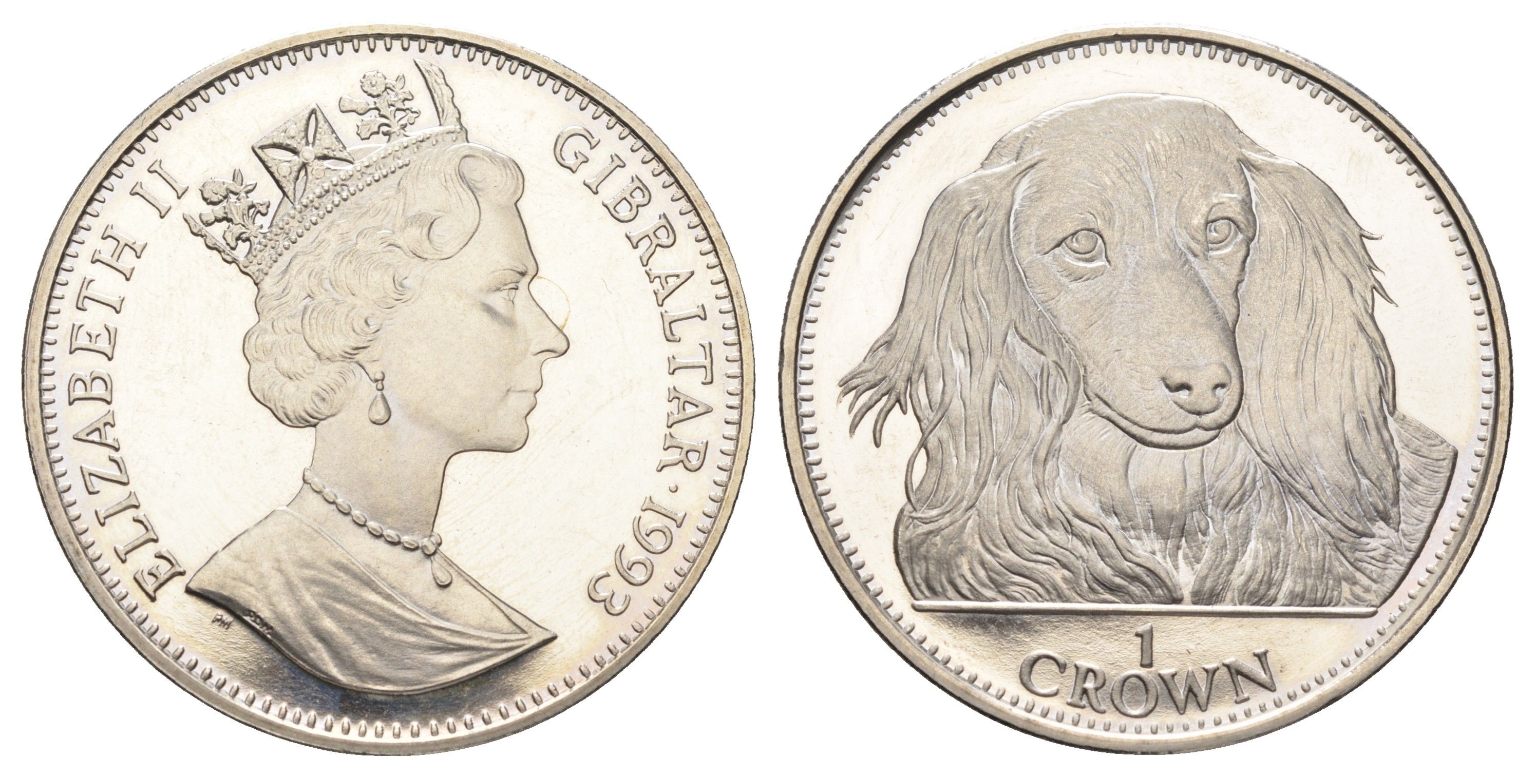 Гибралтар 1 крона 1993 Лучшие друзья человека (собаки) - Такса KM 192 медно-никель BU 1524-1545