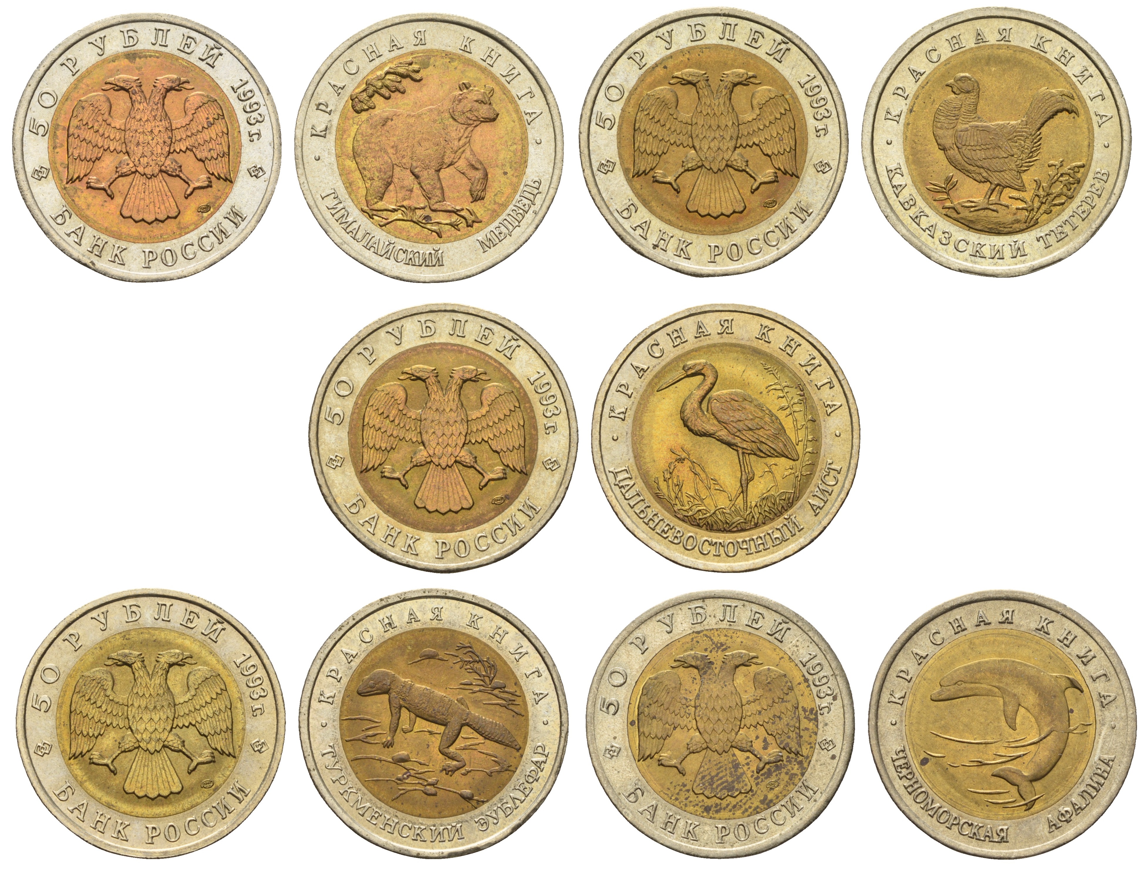 Россия лот из 5 монет по 50 рублей 1993 серия Красная книга, гималайский медведь, туркменский зублефар, кавказский тетерев, дальневосточный аист, черноморская афалина KM 330, 331, 332, 333, 334 биметалл UNC 4681-211-215