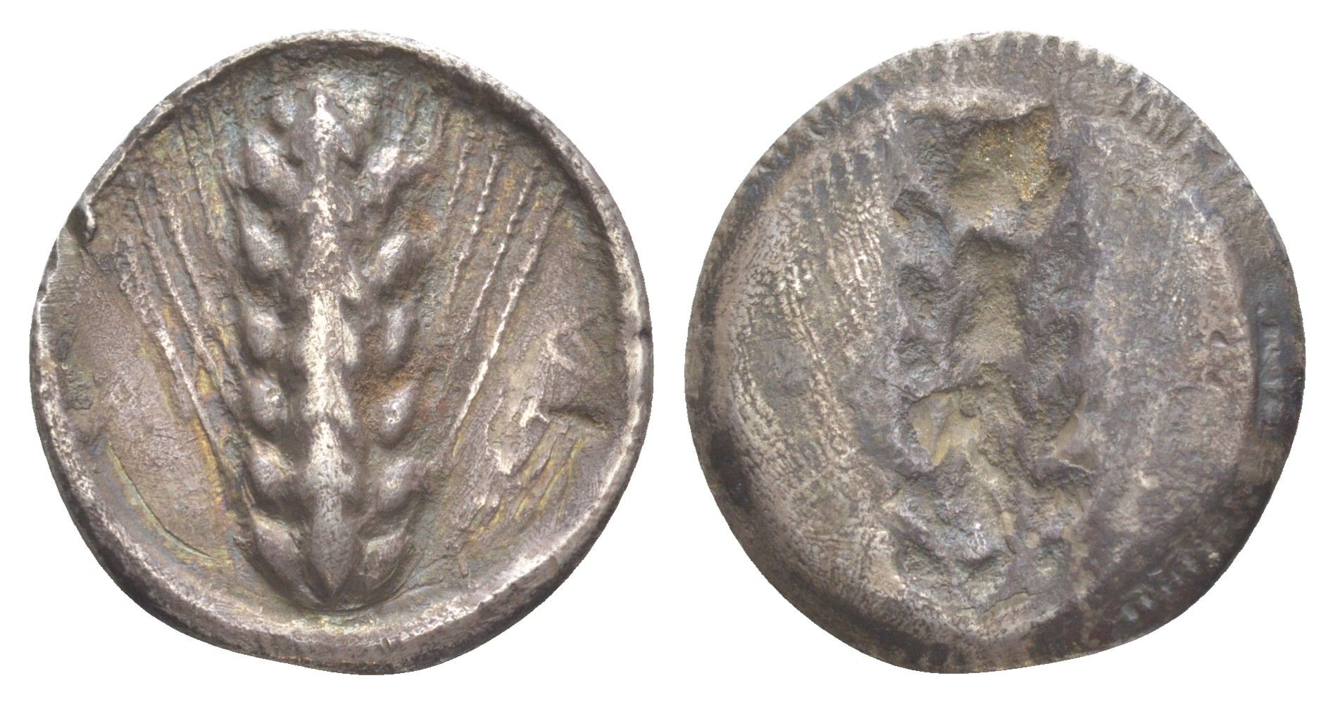 Лукания, Метапонт статер 540-510 гг. до н.э. META, колос с зернами/иннкузное изображение колоса, 7,45 гр Noe class VI серебро 00-814-05