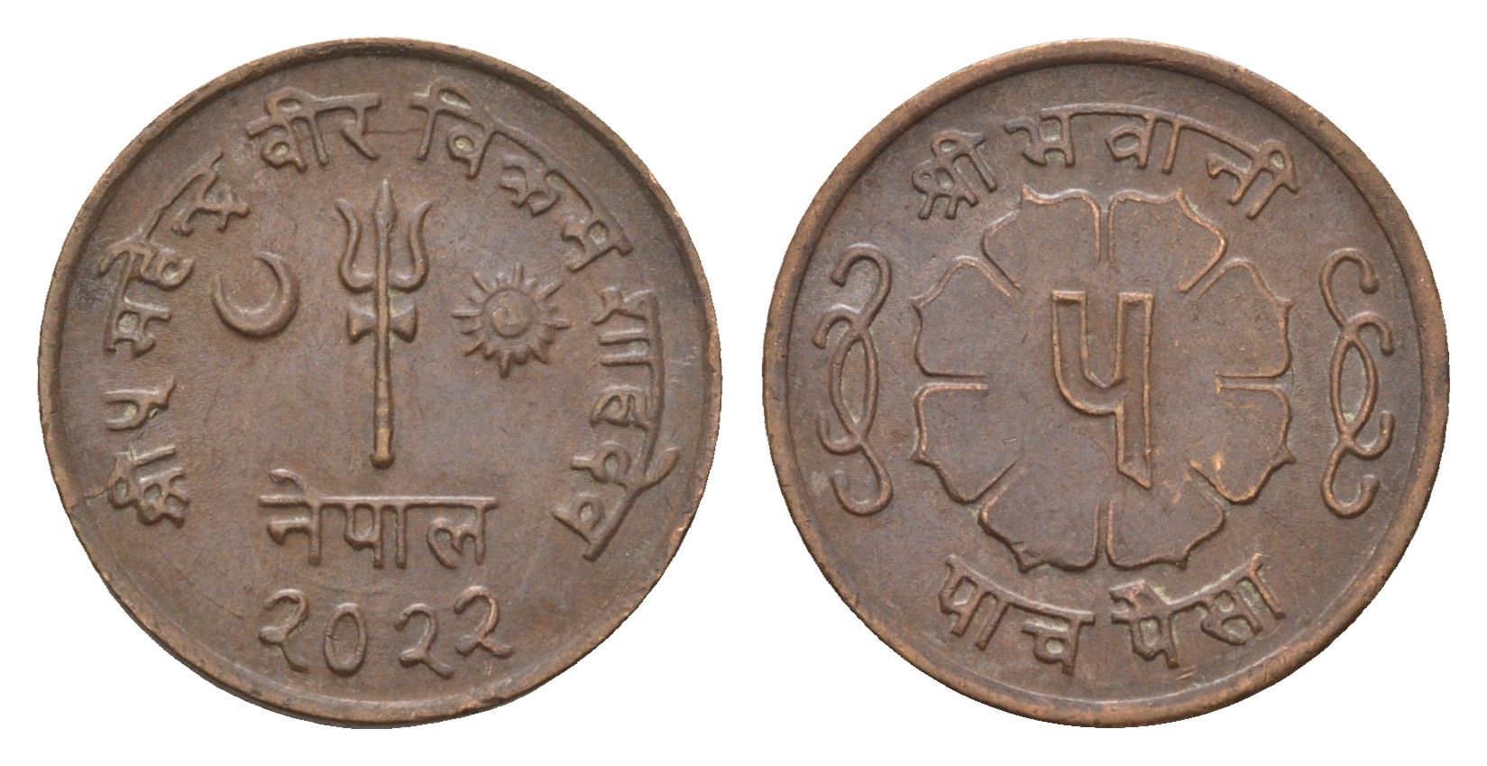 Непал 5 пайс 1965 BS 2022 KM 758a бронза 4585-1033