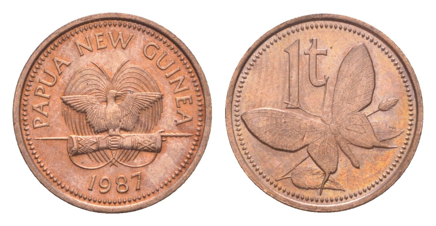 Папуа-Новая Гвинея 1 тойя 1987 KM 1 бронза UNC 4651-837