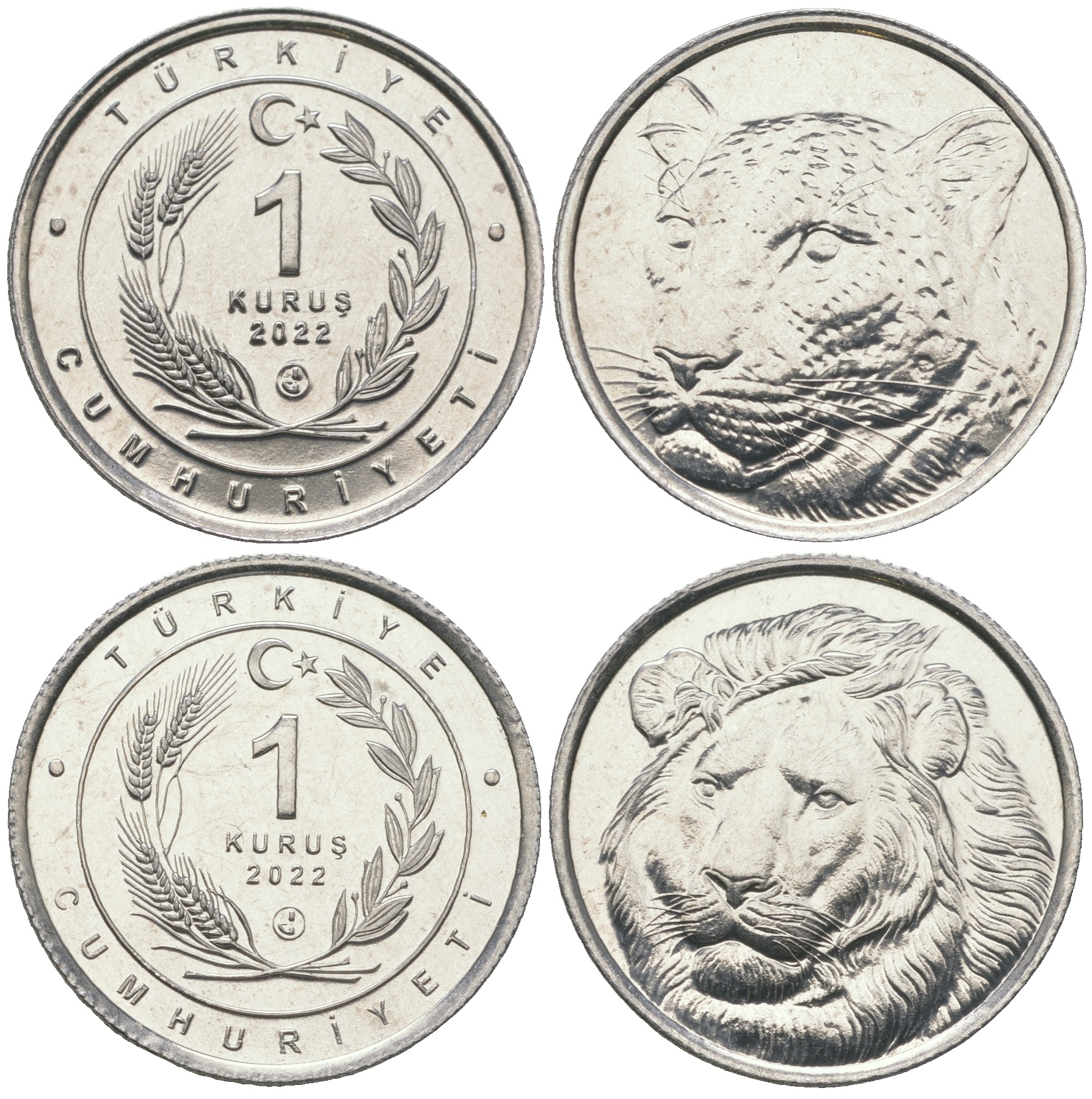 Турция лот из 2 монет номиналом 1 куруш 2022 большие кошки, лев, ягуар KM NEW алюминий  UNC  M9-07