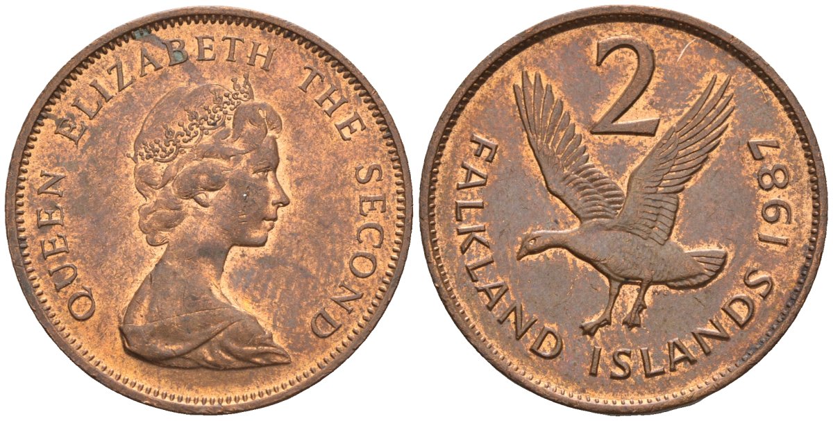 Фолклендские острова 2 пенса 1987 Елизавета II (1952-2022), магелланов гусь KM 3 бронза 87-113
