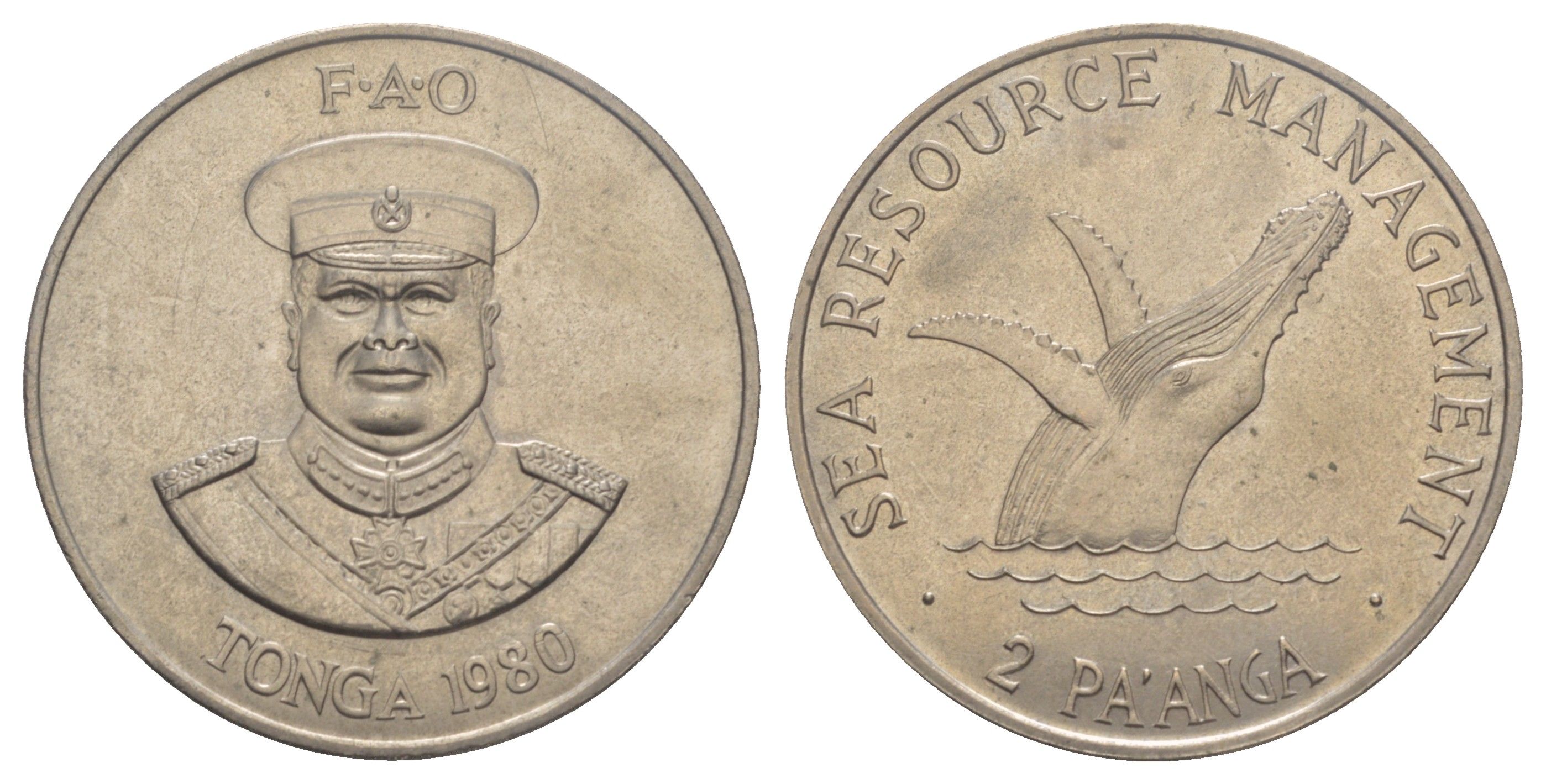 Тонга 2 паанга 1980 ФАО - Управление морскими ресурсами KM 63 медно-никель BU 1066-10-33