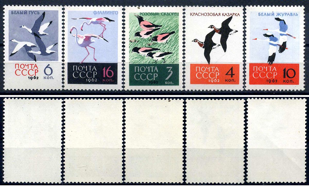 СССР набор из 5 марок (3, 4, 6, 10 и 16 копеек) 1962 Птицы - розовые скворцы, Краснозобые казарки, Белые гуси, Белые журавли, Фламинго Загорский 2688, 2689, 2690, 2691, 2692    марка с оригинальным клеем, без следов наклейки (чистая) 8707-1-6-2