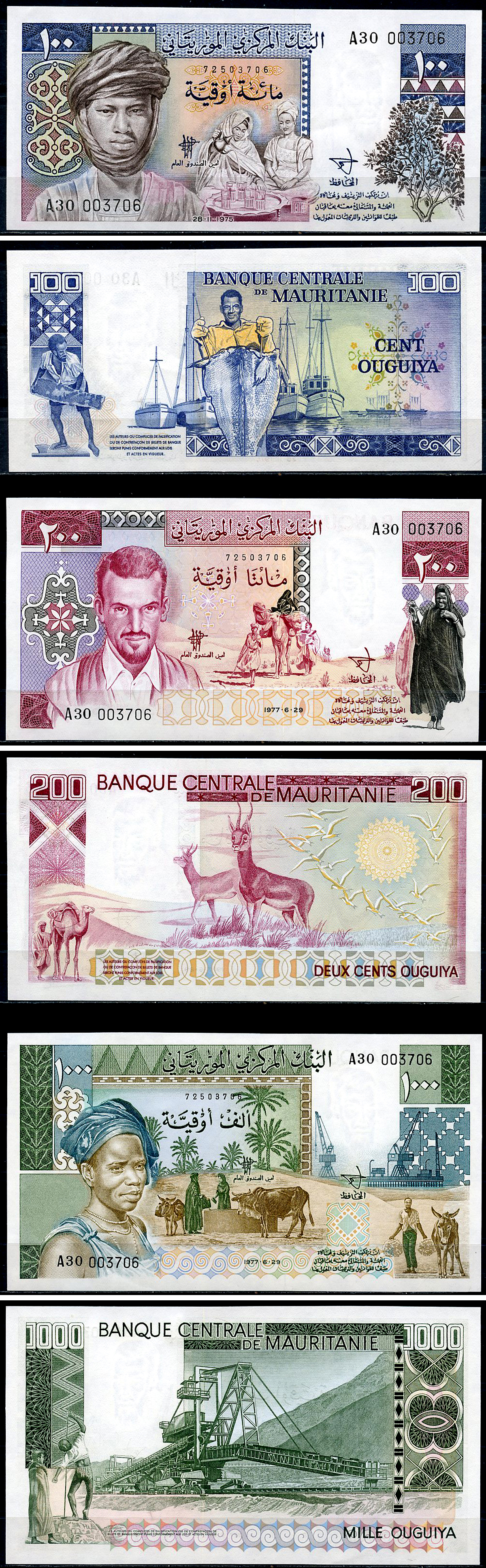 Мавритания 100 угуйя 1975, 200 и 1000 угуйя 1977   Pick 3A, 3B, 3C  бумага  UNC (пресс) 451-1305-1