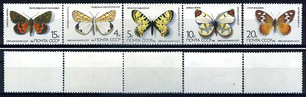 СССР набор из 5 марок (4, 5, 10, 15 и 20 копеек) 1986 Красная книга СССР: бабочки - медведица красноточечная, зеринтия кавказская, зорька зегрис, лента орденская малиновая, сатир бишоффа Загорский 5636, 5637, 5638, 5639 и 5640    марка с оригинальным клее