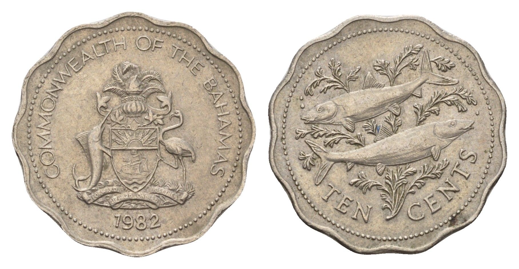 Багамские острова (Багамы) 10 центов 1982 KM 61 медно-никель 4114-932