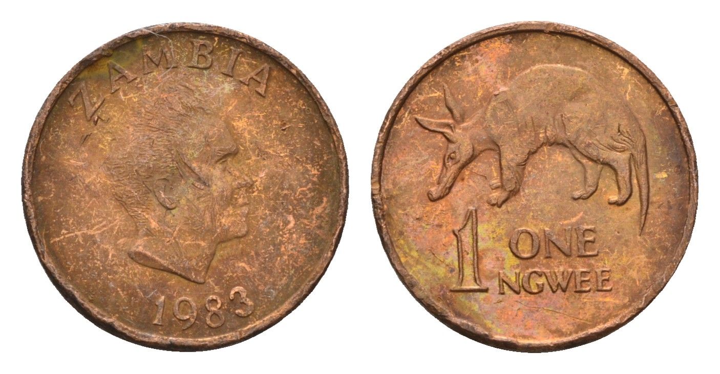Замбия 1 нгве 1983 KM 9a сталь плакированная медью 188-539