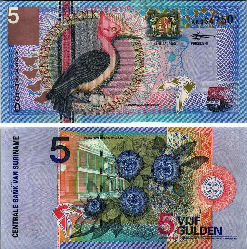 Суринам 5 гульденов 2000 птица Red-necked woodpecker, TDLR Pick 146 бумага UNC (пресс) 6352-2-4-2