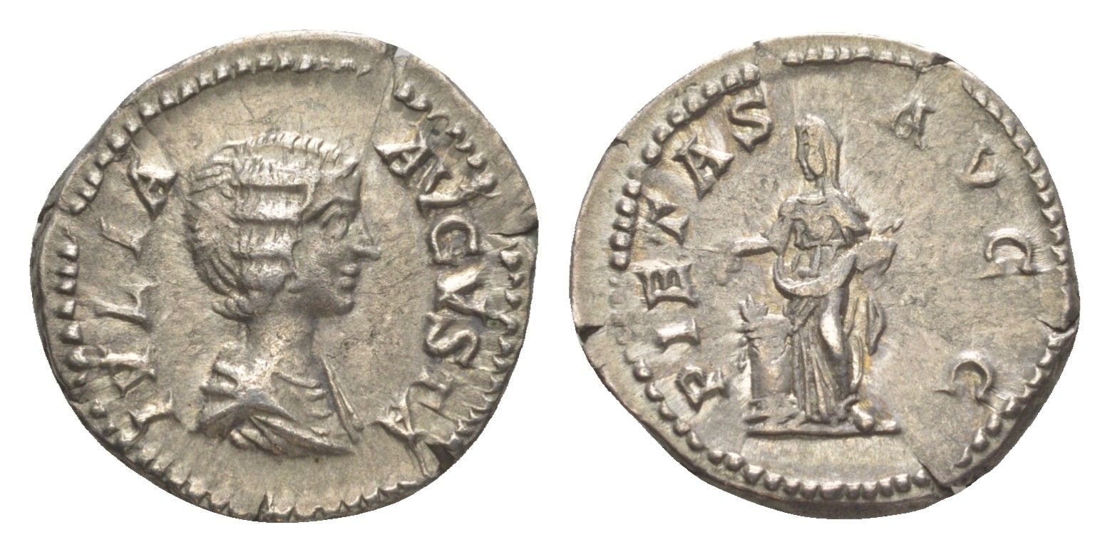 Римская Империя денарий 193-211 Юлия Домна, жена Септимия Севера, IVLIA AVGVSTA, бюст императрицы/PIETAS AVGG, Пиетата у алтаря, Рим RIC 572 серебро 1073-4-66