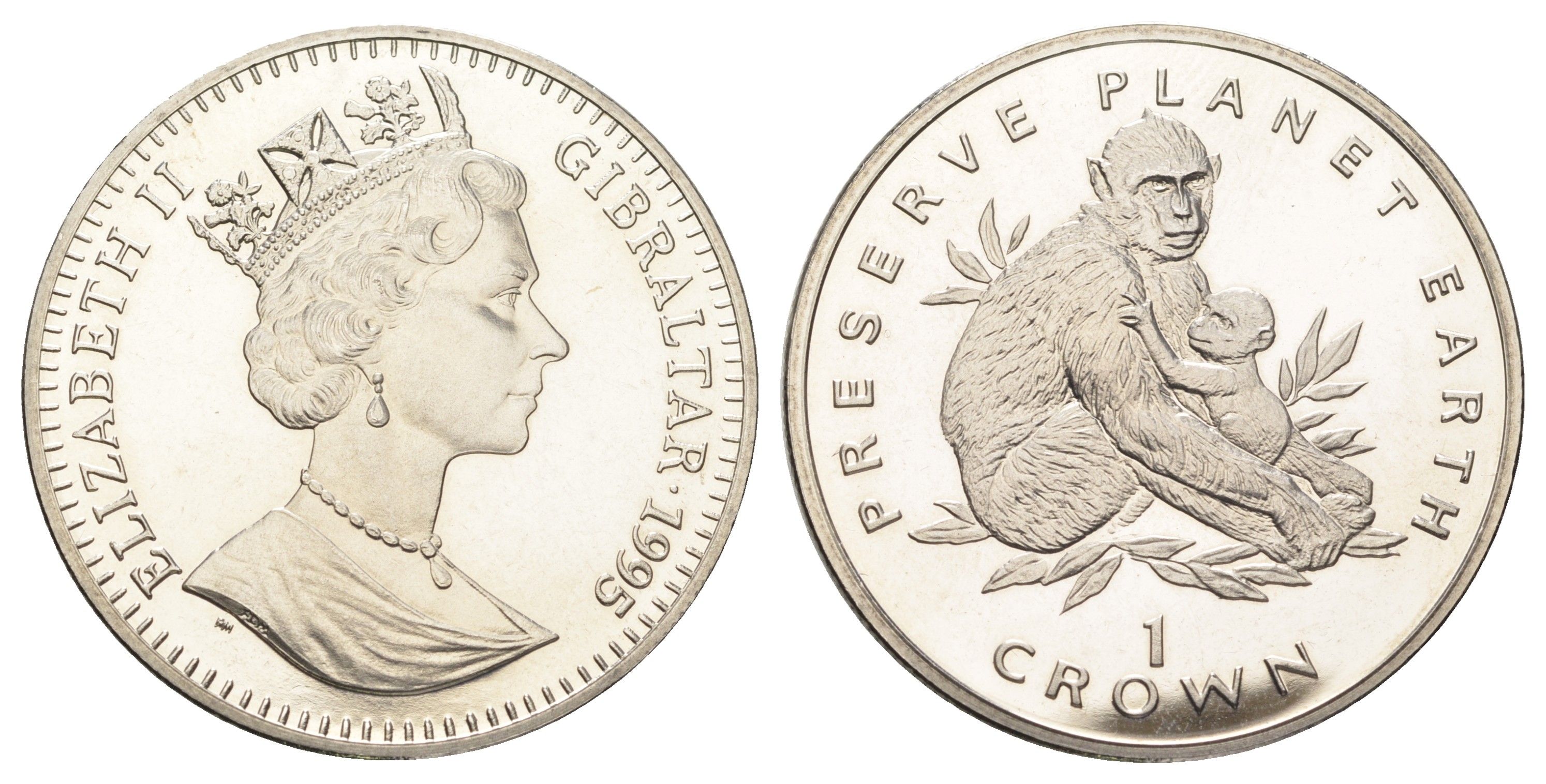 Гибралтар 1 крона 1995 Заповедник планета Земля - Магот (обезьяна) KM 306 медно-никель BU 11-087-43