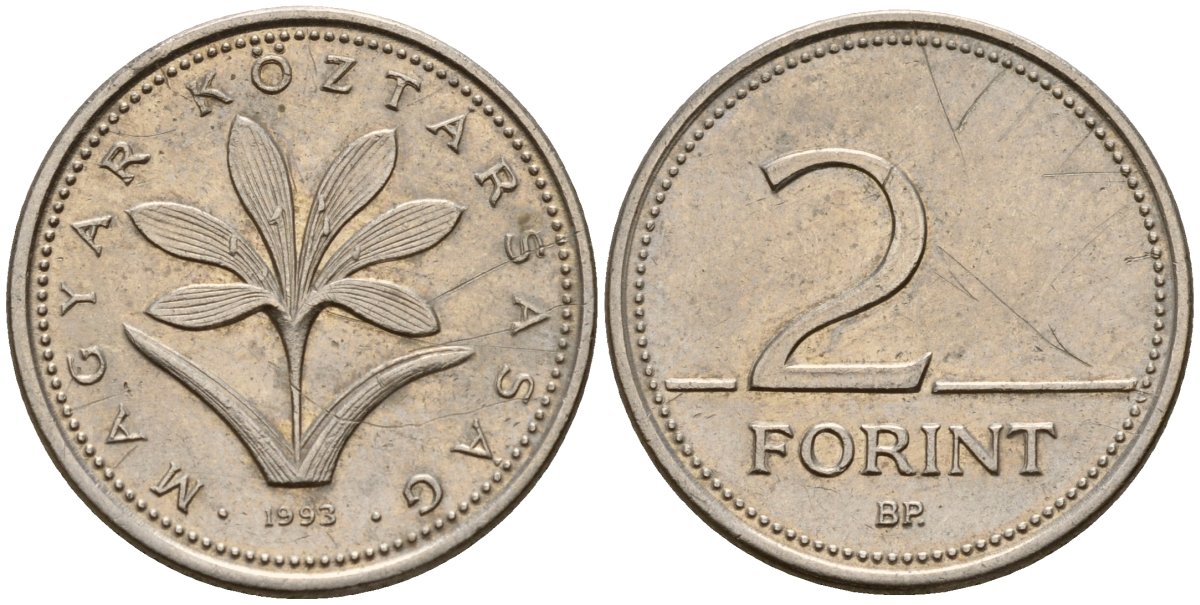Венгрия 2 форинта 1993 KM 693 медно-никель 4154-1123
