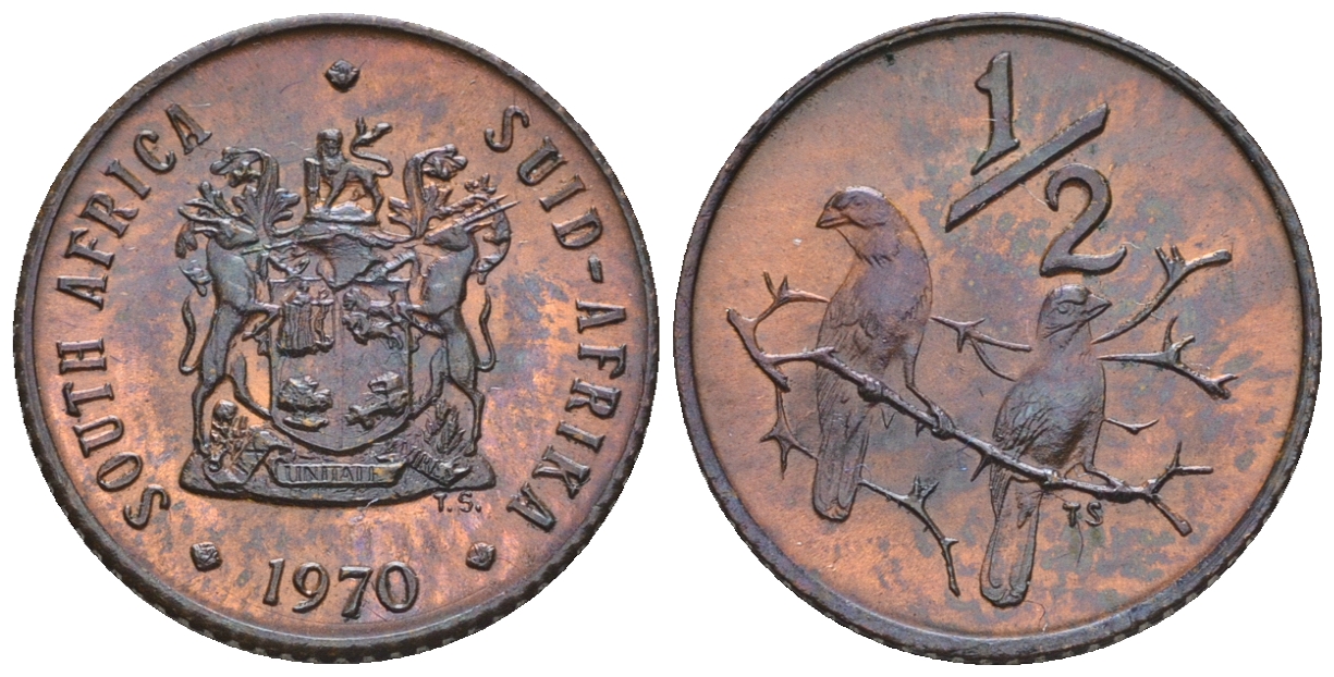 ЮАР 1/2 цента 1970 два капских воробья на ветке KM 81 бронза  aUNC  220-947