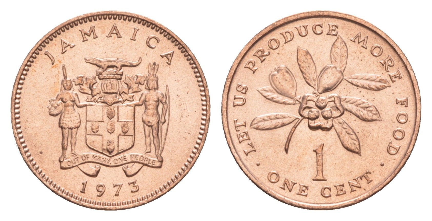Ямайка 1 цент 1973 ФАО - Давайте производить больше еды KM 52 бронза UNC 4640-1267