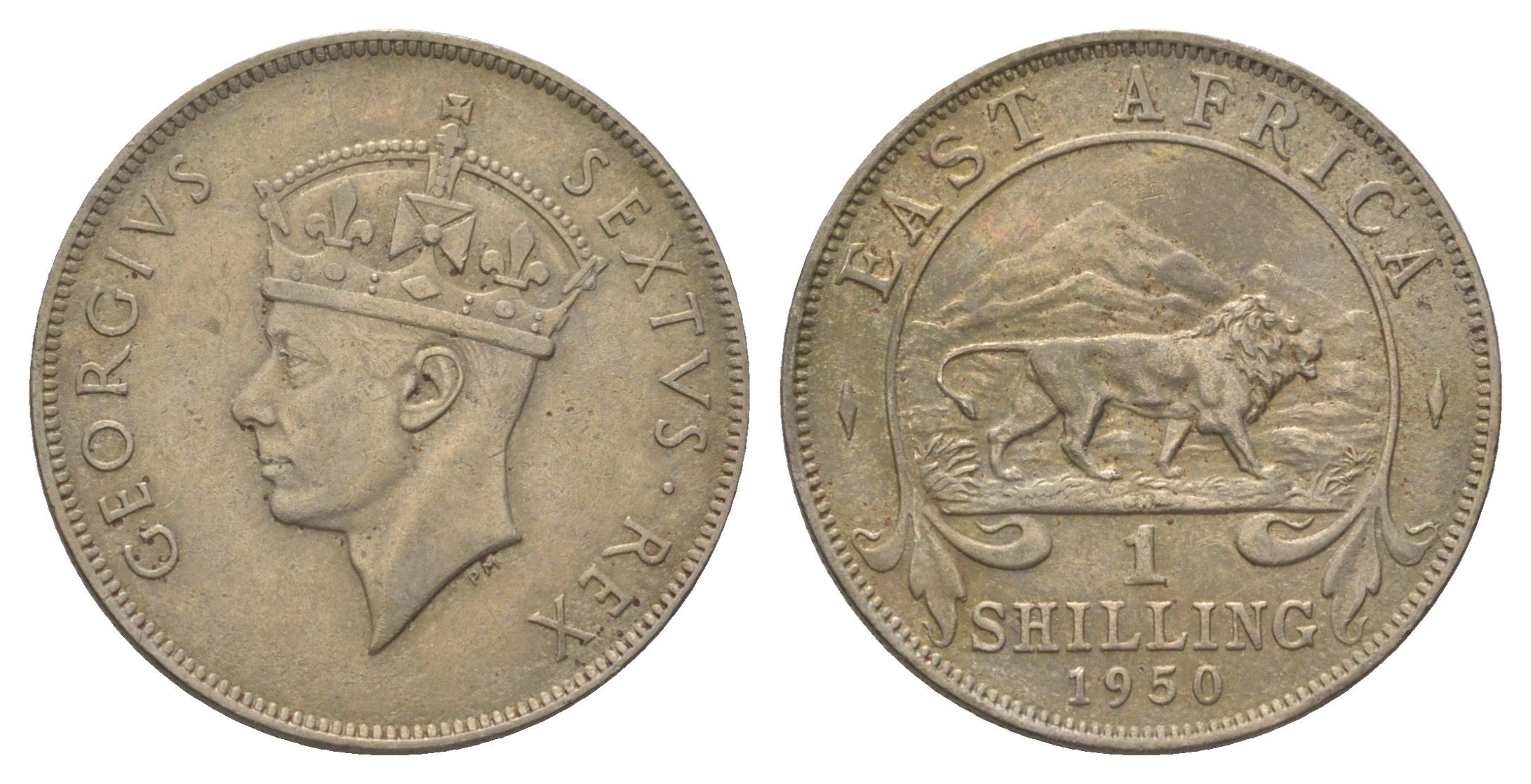 Британская Восточная Африка 1 шиллинг 1950 H, Георг VI (1936-1952) KM 31 медно-никель 4626-727