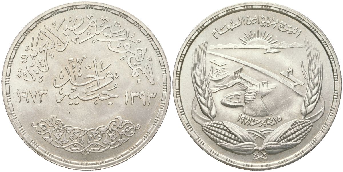 Египет 1 фунт 1973 ФАО - Асуанская Дамба KM 439 серебро UNC 1530-1043