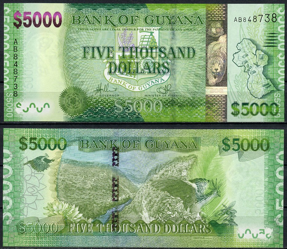 Гайана 5000 долларов ND (2011-2018) карта Гайаны, природный ландшафт, попугай Pick 40 a (1) бумага UNC (пресс) 00-00